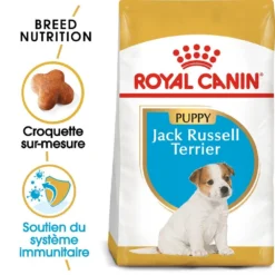 ROYAL CANIN Jack Russell Terrier Puppy 1,5kg 8 ROYAL CANIN Jack Russell Terrier Puppy 1,5kg -Doux Museau Soldes Magasin fre pl ROYAL CANIN Jack Russell Terrier Puppy 1 5kg 16919 2