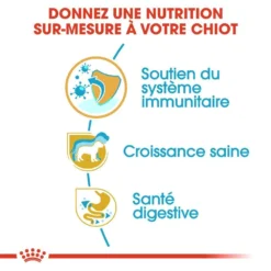 ROYAL CANIN Jack Russell Terrier Puppy 1,5kg 10 ROYAL CANIN Jack Russell Terrier Puppy 1,5kg -Doux Museau Soldes Magasin fre pl ROYAL CANIN Jack Russell Terrier Puppy 1 5kg 16919 4
