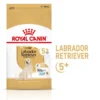 ROYAL CANIN Labrador Retriever Adult 5+ 3kg -Doux Museau Soldes Magasin fre pl ROYAL CANIN Labrador Retriever Adult 5 3kg 12526 6
