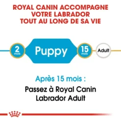ROYAL CANIN Labrador Retriever Puppy 3kg -Doux Museau Soldes Magasin fre pl ROYAL CANIN Labrador Retriever Puppy 3kg 16063 4