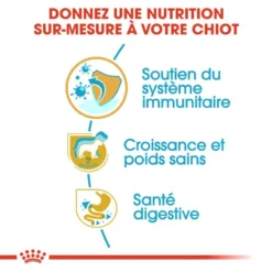 ROYAL CANIN Labrador Retriever Puppy 3kg -Doux Museau Soldes Magasin fre pl ROYAL CANIN Labrador Retriever Puppy 3kg 16063 6