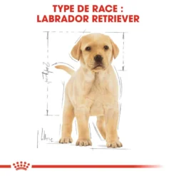 ROYAL CANIN Labrador Retriever Puppy 3kg X2 -Doux Museau Soldes Magasin fre pl ROYAL CANIN Labrador Retriever Puppy 3kg x2 30767 5