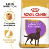 ROYAL CANIN Labrador Retriever Sterilised 12kg -Doux Museau Soldes Magasin fre pl ROYAL CANIN Labrador Retriever Sterilised 12kg 9273 1