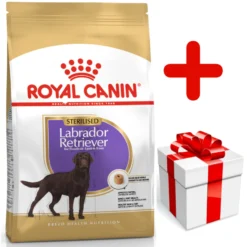 ROYAL CANIN Labrador Retriever Sterilised 12kg + Surprise Pour Votre Chien GRATUITES !