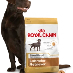 ROYAL CANIN Labrador Retriever Sterilised 12kg + Surprise Pour Votre Chien GRATUITES ! -Doux Museau Soldes Magasin fre pl ROYAL CANIN Labrador Retriever Sterilised 12kg surprise pour votre chien GRATUITES 17875 4