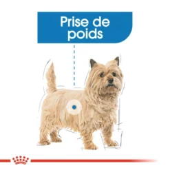 ROYAL CANIN Light Weight Care Pâté 12x85g -Doux Museau Soldes Magasin fre pl ROYAL CANIN Light Weight Care Pate 12x85g 10096 4