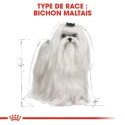 ROYAL CANIN Maltese Adult 500g X2 12 ROYAL CANIN Maltese Adult 500g X2 -Doux Museau Soldes Magasin fre pl ROYAL CANIN Maltese Adult 500g x2 30746 6