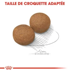 ROYAL CANIN Maxi Adult 15kg -Doux Museau Soldes Magasin fre pl ROYAL CANIN Maxi Adult 15kg 16078 5