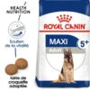 ROYAL CANIN Maxi Adult 5+ 15kg 1 ROYAL CANIN Maxi Adult 5+ 15kg -Doux Museau Soldes Magasin fre pl ROYAL CANIN Maxi Adult 5 15kg 16792 1