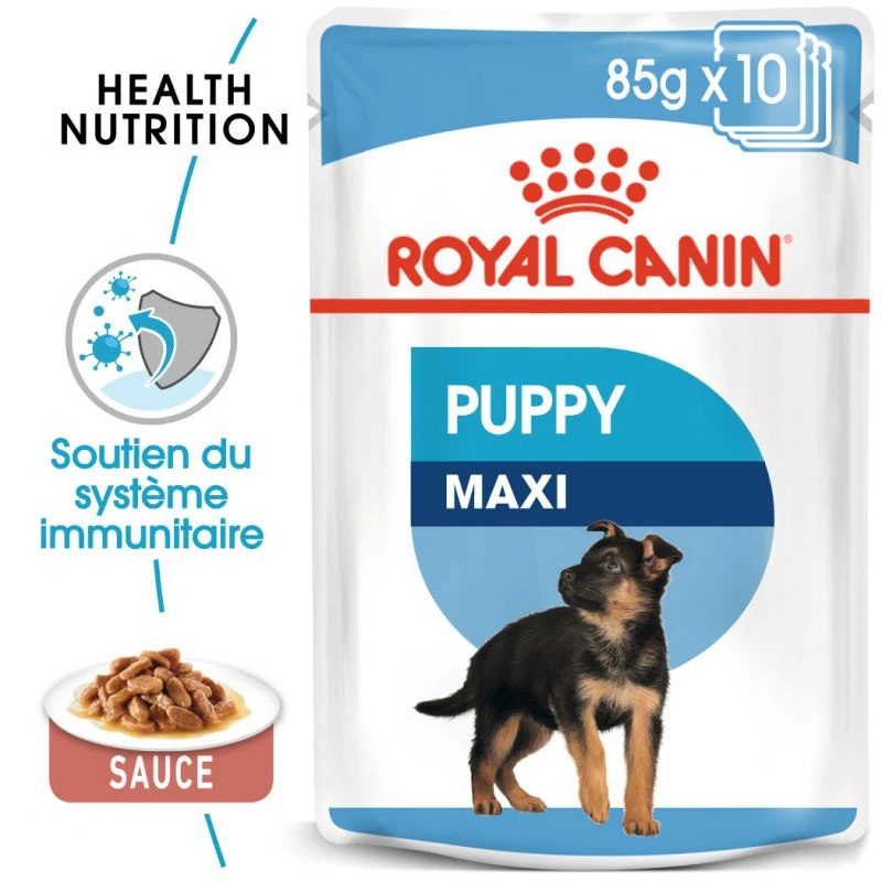 ROYAL CANIN Maxi Puppy 10x140g 3 ROYAL CANIN Maxi Puppy 10x140g