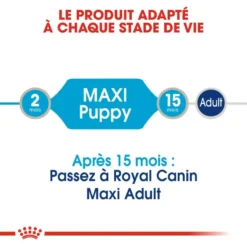 ROYAL CANIN Maxi Puppy 10x140g 11 ROYAL CANIN Maxi Puppy 10x140g -Doux Museau Soldes Magasin fre pl ROYAL CANIN Maxi Puppy 10x140g 9822 4