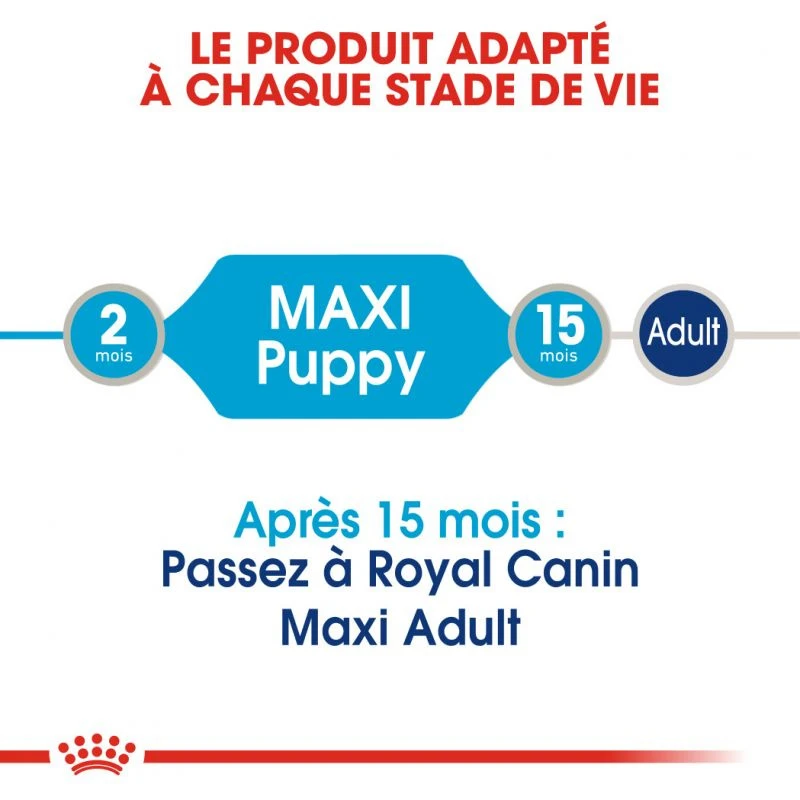 ROYAL CANIN Maxi Puppy 10x140g 6 ROYAL CANIN Maxi Puppy 10x140g – Image 4