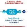 ROYAL CANIN Maxi Puppy 4kg -Doux Museau Soldes Magasin fre pl ROYAL CANIN Maxi Puppy 4kg 16201 8