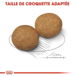 ROYAL CANIN Medium Adult 4kg -Doux Museau Soldes Magasin fre pl ROYAL CANIN Medium Adult 4kg 9322 3