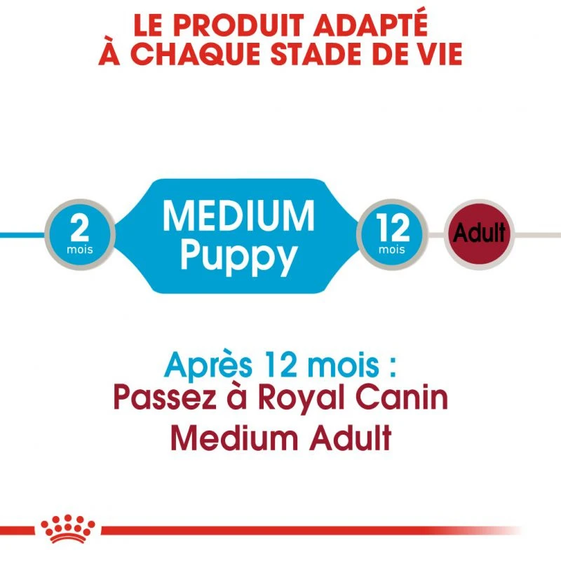 ROYAL CANIN Medium Puppy 10x140g 6 ROYAL CANIN Medium Puppy 10x140g – Image 4