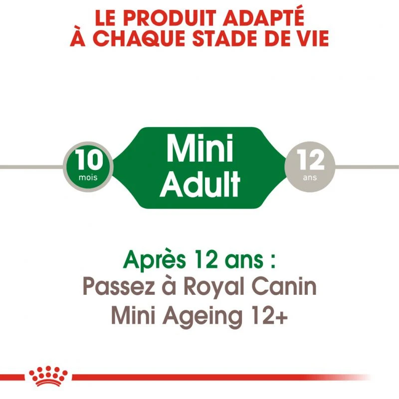 ROYAL CANIN Mini Adult 12x85g 6 ROYAL CANIN Mini Adult 12x85g – Image 4