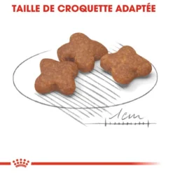 ROYAL CANIN Mini Adult +8 8kg -Doux Museau Soldes Magasin fre pl ROYAL CANIN Mini Adult 8 8kg 17027 6