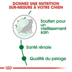 ROYAL CANIN Mini Ageing 12+ 3,5kg -Doux Museau Soldes Magasin fre pl ROYAL CANIN Mini Ageing 12 3 5kg 16087 1