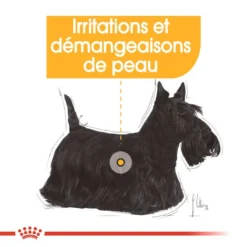 ROYAL CANIN Mini Dermacomfort 8kg + Hector Gratuit -Doux Museau Soldes Magasin fre pl ROYAL CANIN Mini Dermacomfort 8kg hector gratuit 29933 5