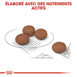 ROYAL CANIN Mini Digestive Care 1kg -Doux Museau Soldes Magasin fre pl ROYAL CANIN Mini Digestive Care 1kg 10082 10