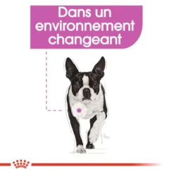 ROYAL CANIN Mini Relax Care 8kg X2 11 ROYAL CANIN Mini Relax Care 8kg X2 -Doux Museau Soldes Magasin fre pl ROYAL CANIN Mini Relax Care 8kg x2 30591 3