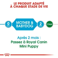 ROYAL CANIN Mini Starter 1kg -Doux Museau Soldes Magasin fre pl ROYAL CANIN Mini Starter 1kg 16088 4