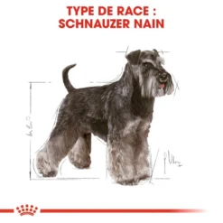 ROYAL CANIN Miniature Schnauzer Adult 3kg -Doux Museau Soldes Magasin fre pl ROYAL CANIN Miniature Schnauzer Adult 3kg 9366 5