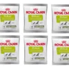 ROYAL CANIN Nutritional Supplement Educ 10x50g -Doux Museau Soldes Magasin fre pl ROYAL CANIN Nutritional Supplement Educ 10x50g 29779 4