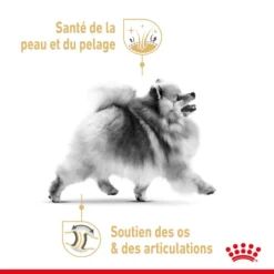 ROYAL CANIN Pomeranian Adult 1,5kg X2 -Doux Museau Soldes Magasin fre pl ROYAL CANIN Pomeranian Adult 1 5kg x2 30742 3