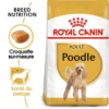 ROYAL CANIN Poodle Adult 1,5kg 2 ROYAL CANIN Poodle Adult 1,5kg -Doux Museau Soldes Magasin fre pl ROYAL CANIN Poodle Adult 1 5kg 9428 1