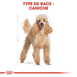 ROYAL CANIN Poodle Adult 1,5kg -Doux Museau Soldes Magasin fre pl ROYAL CANIN Poodle Adult 1 5kg 9428 2