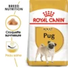 ROYAL CANIN Pug Adult 1,5kg 2 ROYAL CANIN Pug Adult 1,5kg -Doux Museau Soldes Magasin fre pl ROYAL CANIN Pug Adult 1 5kg 16110 1