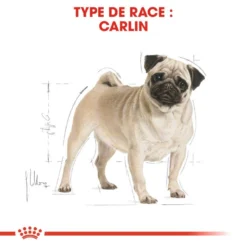 Nouveaux produits -Doux Museau Soldes Magasin fre pl ROYAL CANIN Pug Adult 1 5kg 16110 3