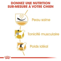 ROYAL CANIN Pug Adult 1,5kg -Doux Museau Soldes Magasin fre pl ROYAL CANIN Pug Adult 1 5kg 16110 4