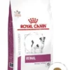 ROYAL CANIN Renal Small Dog 1,5kg 2 ROYAL CANIN Renal Small Dog 1,5kg -Doux Museau Soldes Magasin fre pl ROYAL CANIN Renal Small Dog 1 5kg 12979 1
