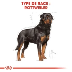 ROYAL CANIN Rottweiler Adult 12kg -Doux Museau Soldes Magasin fre pl ROYAL CANIN Rottweiler Adult 12kg 9456 3