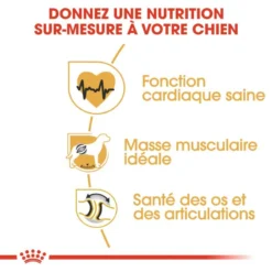 ROYAL CANIN Rottweiler Adult 12kg -Doux Museau Soldes Magasin fre pl ROYAL CANIN Rottweiler Adult 12kg 9456 4