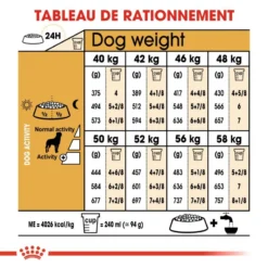 ROYAL CANIN Rottweiler Adult 12kg -Doux Museau Soldes Magasin fre pl ROYAL CANIN Rottweiler Adult 12kg 9456 6