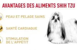 ROYAL CANIN Shih Tzu Adult 12x85g -Doux Museau Soldes Magasin fre pl ROYAL CANIN Shih Tzu Adult 12x85g 12522 4