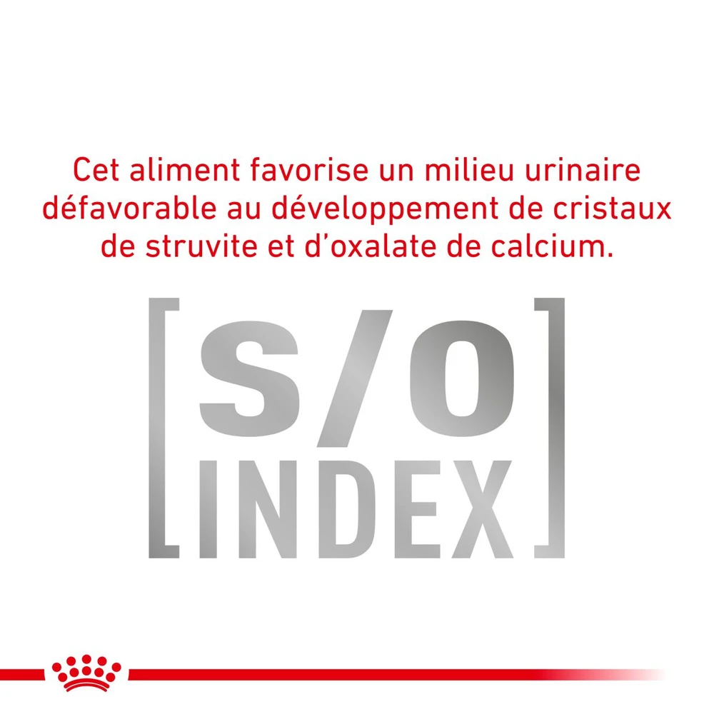 ROYAL CANIN Urinary S/O Small Dog 4kg 7 ROYAL CANIN Urinary S/O Small Dog 4kg – Image 5