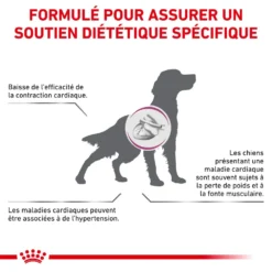 ROYAL CANIN Veterinary Cardiac 2kg -Doux Museau Soldes Magasin fre pl ROYAL CANIN Veterinary Cardiac 2kg 15965 5