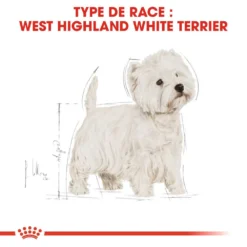 ROYAL CANIN West Highland White Terrier Adult 1,5kg -Doux Museau Soldes Magasin fre pl ROYAL CANIN West Highland White Terrier Adult 1 5kg 16157 5
