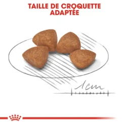 ROYAL CANIN X-Small Puppy 1,5kg X2 10 ROYAL CANIN X-Small Puppy 1,5kg X2 -Doux Museau Soldes Magasin fre pl ROYAL CANIN X Small Puppy 1 5kg x2 30716 3