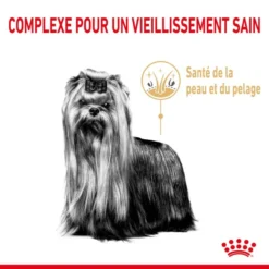 ROYAL CANIN Yorkshire Terrier Adult 8+ 1,5kg -Doux Museau Soldes Magasin fre pl ROYAL CANIN Yorkshire Terrier Adult 8 1 5kg 12529 6