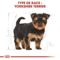ROYAL CANIN Yorkshire Terrier Puppy 1,5kg -Doux Museau Soldes Magasin fre pl ROYAL CANIN Yorkshire Terrier Puppy 1 5kg 9597 3