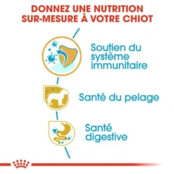 ROYAL CANIN Yorkshire Terrier Puppy 1,5kg -Doux Museau Soldes Magasin fre pl ROYAL CANIN Yorkshire Terrier Puppy 1 5kg 9597 4