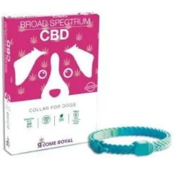 RomeRoyalDog Petit Collier Pour Chien Avec CBD 37cm