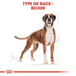 Royal Canin Boxer Adult 12kg -Doux Museau Soldes Magasin fre pl Royal Canin Boxer Adult 12kg 9122 3