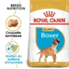 Royal Canin Boxer Puppy 12kg -Doux Museau Soldes Magasin fre pl Royal Canin Boxer Puppy 12kg 9124 1