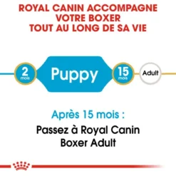Royal Canin Boxer Puppy 12kg -Doux Museau Soldes Magasin fre pl Royal Canin Boxer Puppy 12kg 9124 4